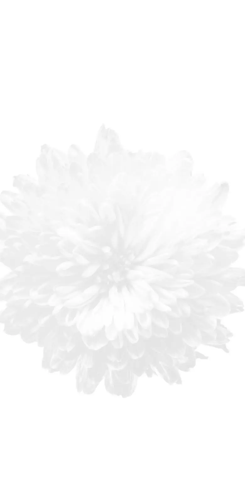 Pratinjau WebGL Noise Reveal