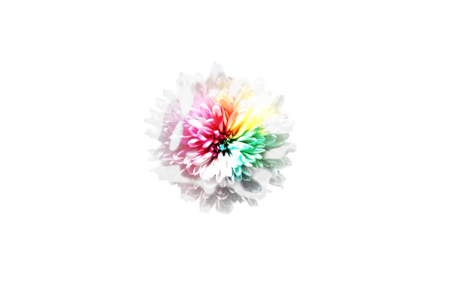 Pratinjau WebGL Noise Reveal